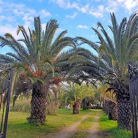 Giorgha 15 Pers 1 Km De La Jardin 5000m2 Hotel 5*